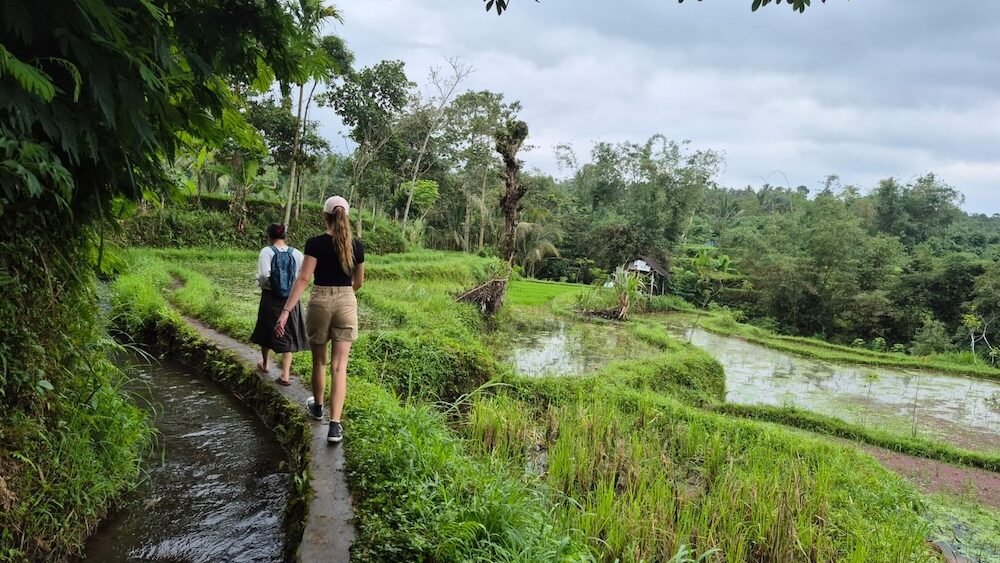 tetebatu rice fields trek